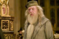 /album/fotogaleria/dumbledore-png/